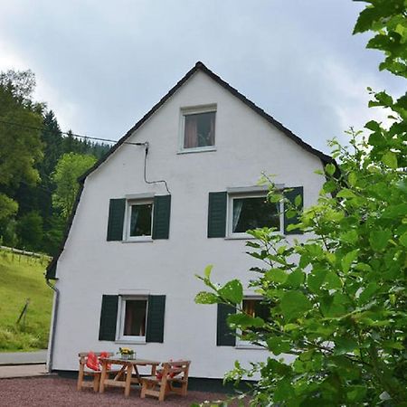Vila Haus Elpe Naehe Meschede Winterberg Olsberg Exteriér fotografie
