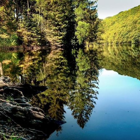 Vila Haus Elpe Naehe Meschede Winterberg Olsberg Exteriér fotografie