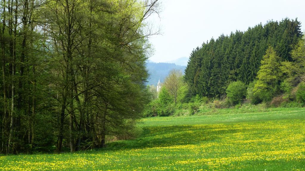 Vila Haus Elpe Naehe Meschede Winterberg Olsberg Pokoj fotografie