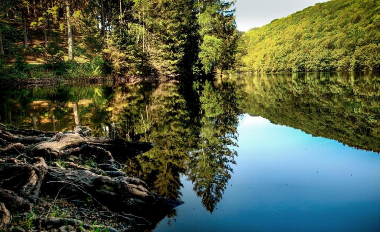 Vila Haus Elpe Naehe Meschede Winterberg Olsberg Exteriér fotografie