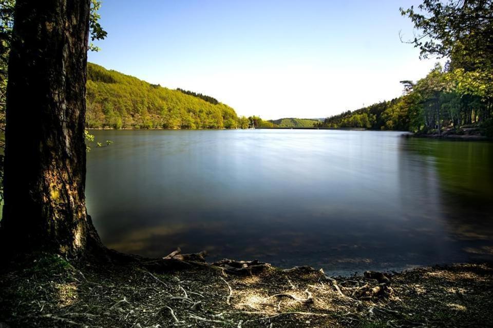 Vila Haus Elpe Naehe Meschede Winterberg Olsberg Exteriér fotografie