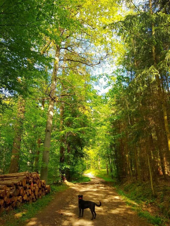 Vila Haus Elpe Naehe Meschede Winterberg Olsberg Exteriér fotografie